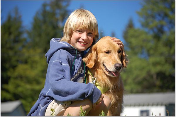 gabapentin dog not urinating