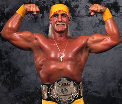 "Hollywood" Hogan, the villainous nWo "Hollywood" Hogan, the villainous nWo
