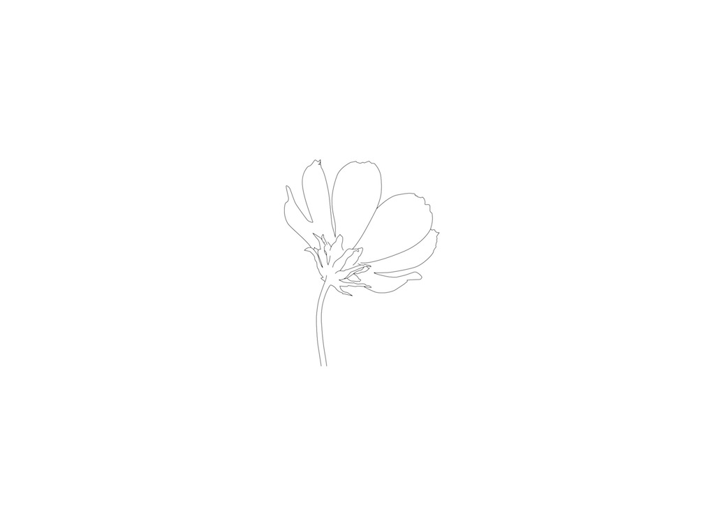 [Pen+Flower.jpg]