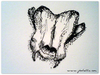 pen ink vertebra 1