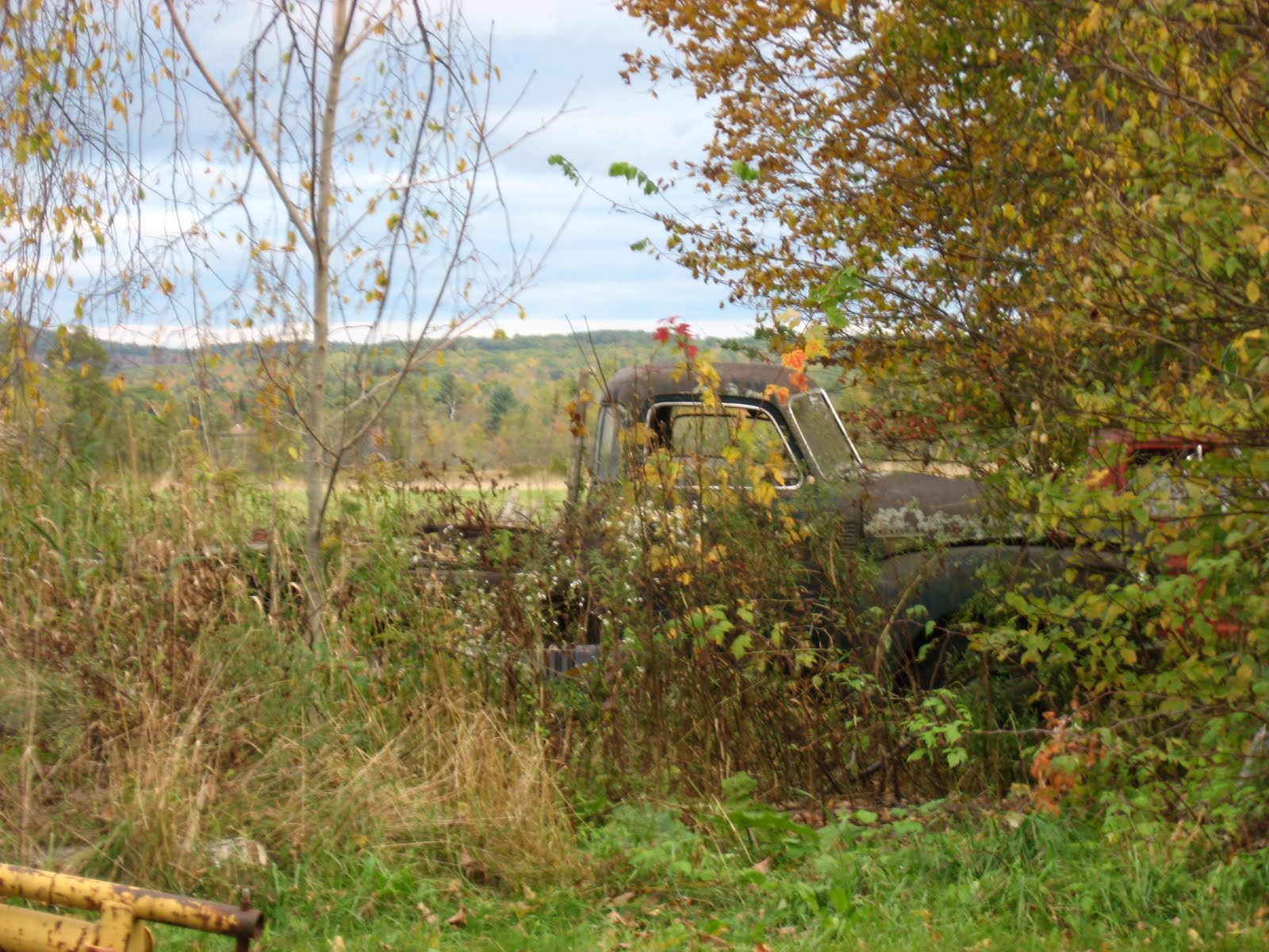 [IMG_2036.JPG]