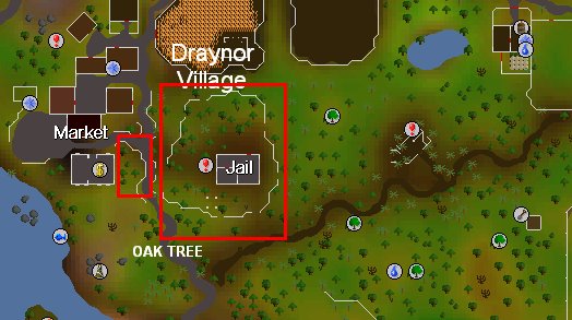 [oak.bmp]