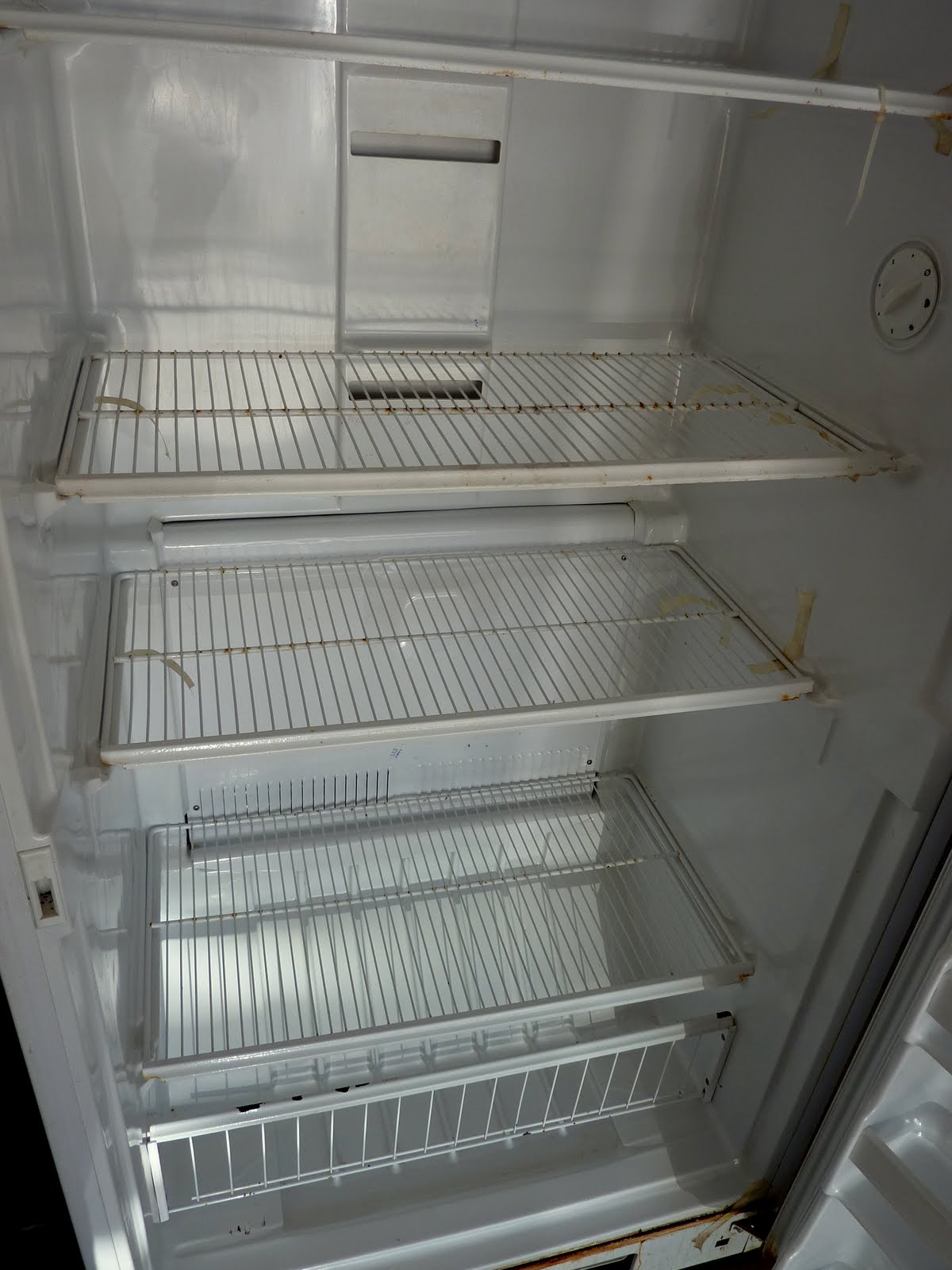 Addicted to Homes Spray Painting Upright Freezer
