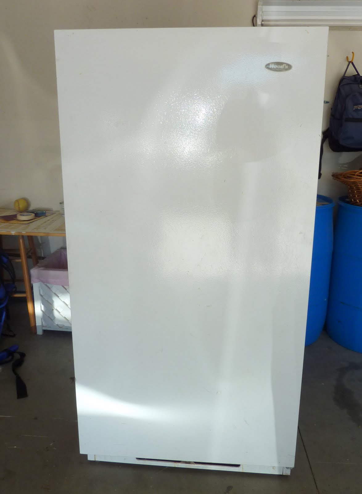 Addicted to Homes Spray Painting Upright Freezer