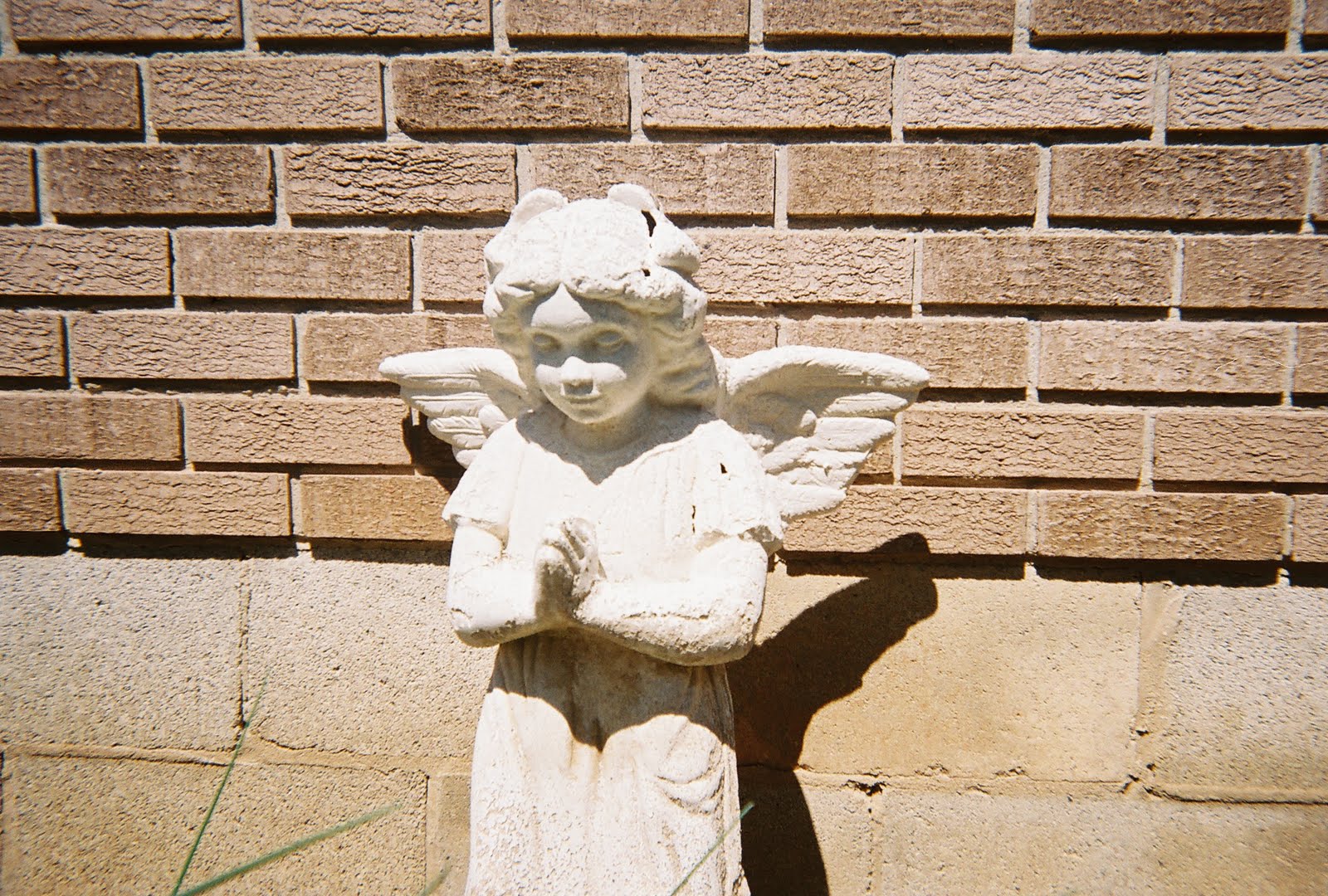 Throw Away Cameras 2 & 3