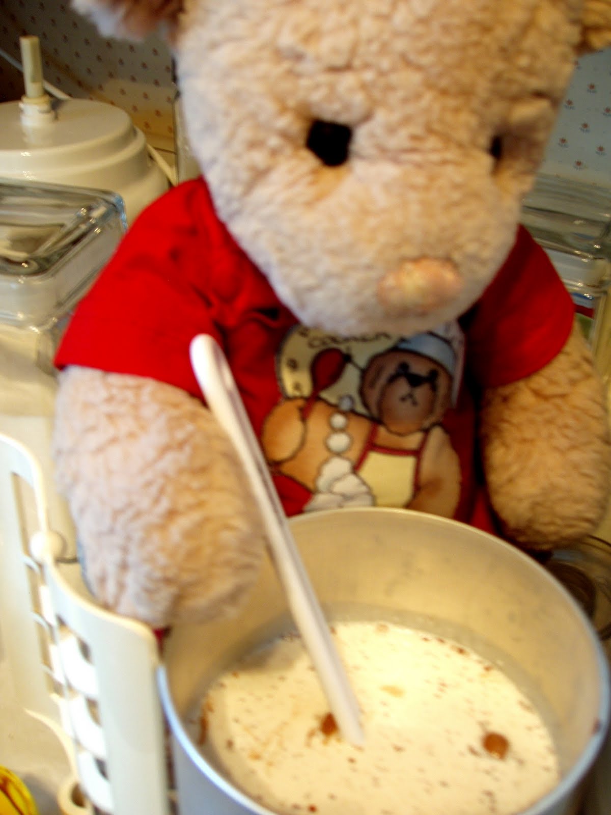 [I+helped+stir.JPG]