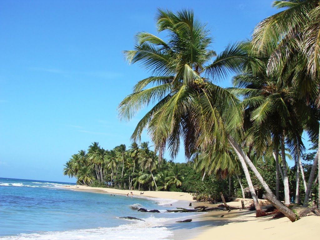 Hotel Bavaro Princess All Suites Resorts Spa Casino Hotel Bavaro Princess All Suites Resorts Spa Casino