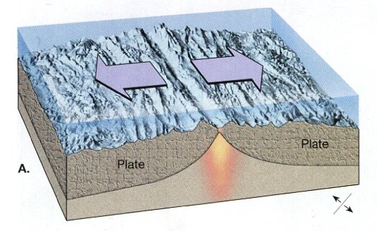 sea floor spreading Sea-floor spreading is the process in which the ocean floor is extended when two plates move apart plates are huge slabs into which the crust as well as the upper part of the mantle (the. sea floor spreading Sea-floor spreading is the process in which the ocean floor is extended when two plates move apart plates are huge slabs into which the crust as well as the upper part of the mantle (the.