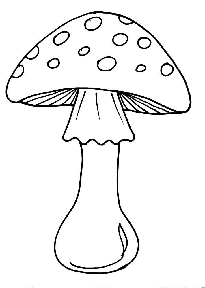 Funghi Da Stampare E Colorare Per Bambini