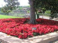 This image has an empty alt attribute; its file name is IMG_1523.jpg