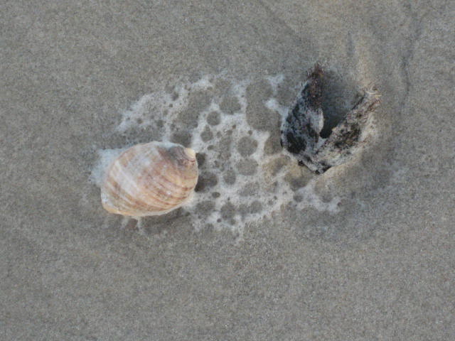 [IMG_0721.JPG]