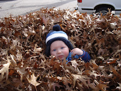 Autumn Fun
