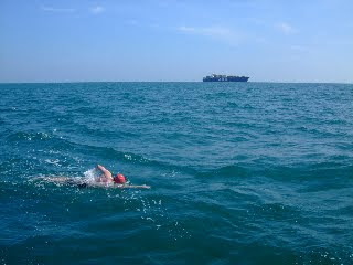 english channel swim