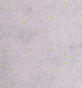 stampante spia con puntini gialli