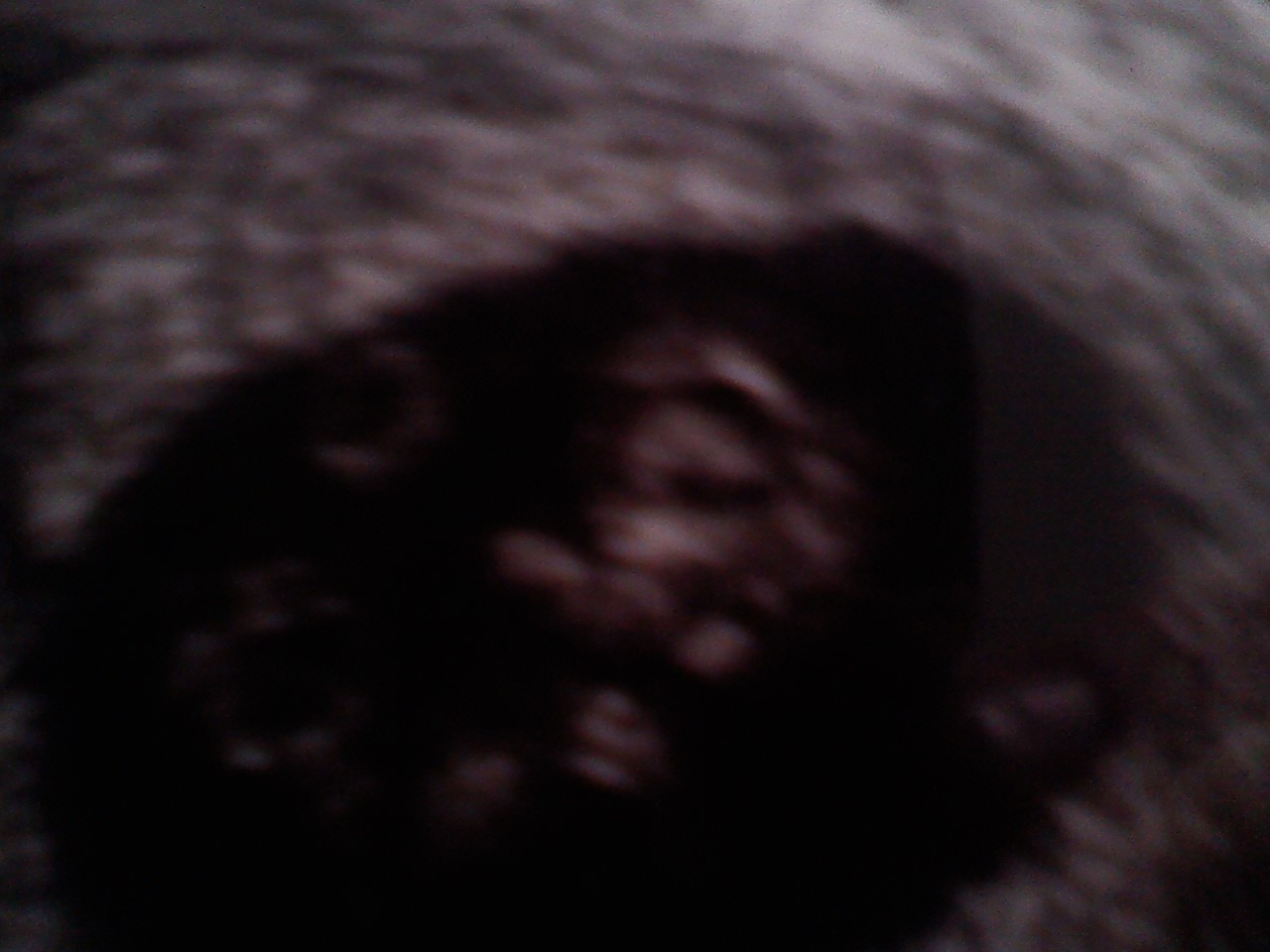 [baby+5+ultra+sound+10wks.jpg]