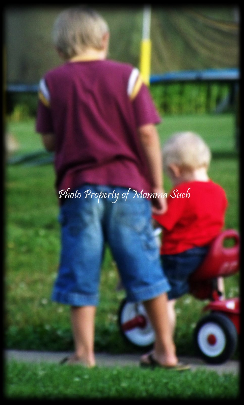 [Coop+bike+with+Cart-copy.jpg]