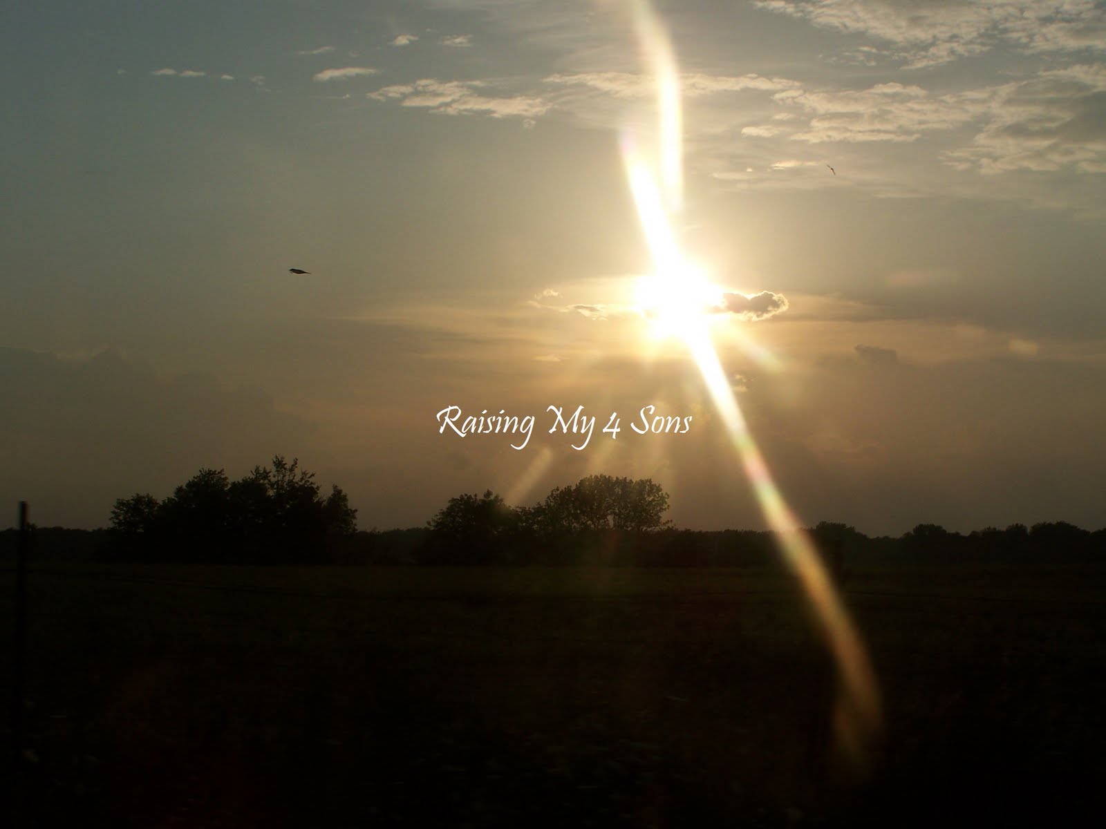 [Sun+over+field-copy.jpg]