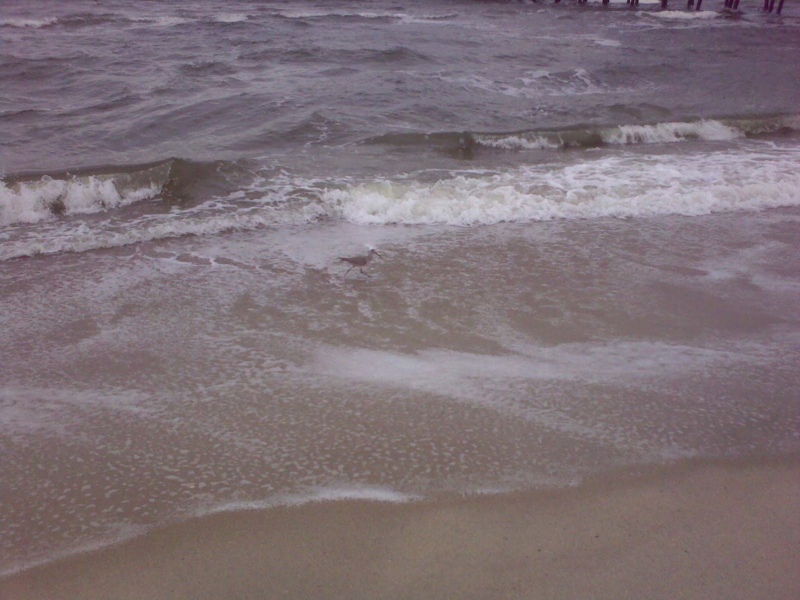 [22032010859-773622.jpg]