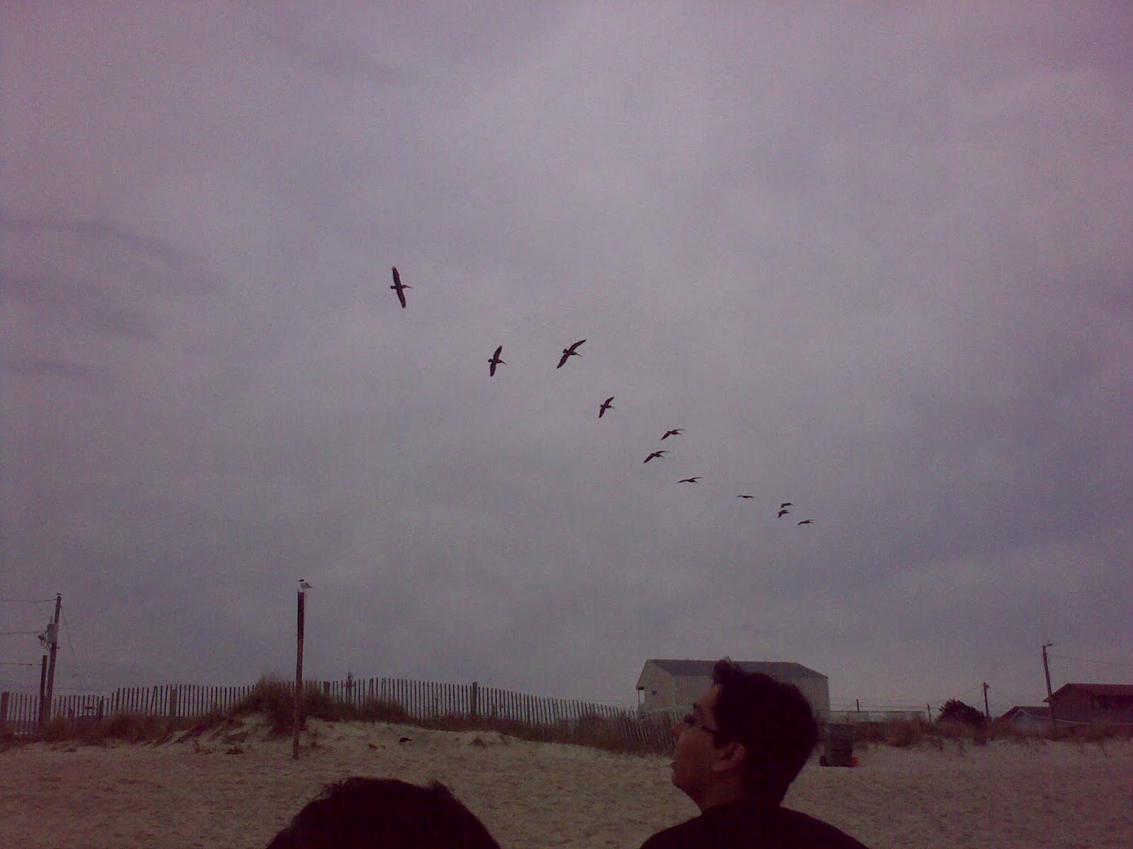 [22032010858-725290.jpg]