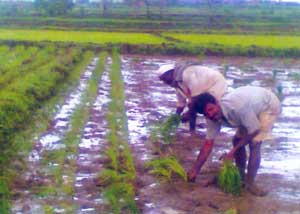 [char_sutri-784419.jpg]