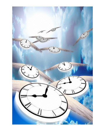 Time Flies