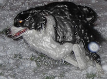 Plastic wraped dog