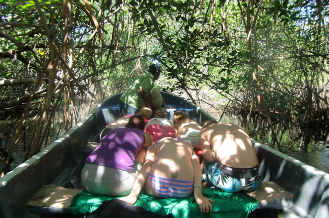 Mangroveskogen