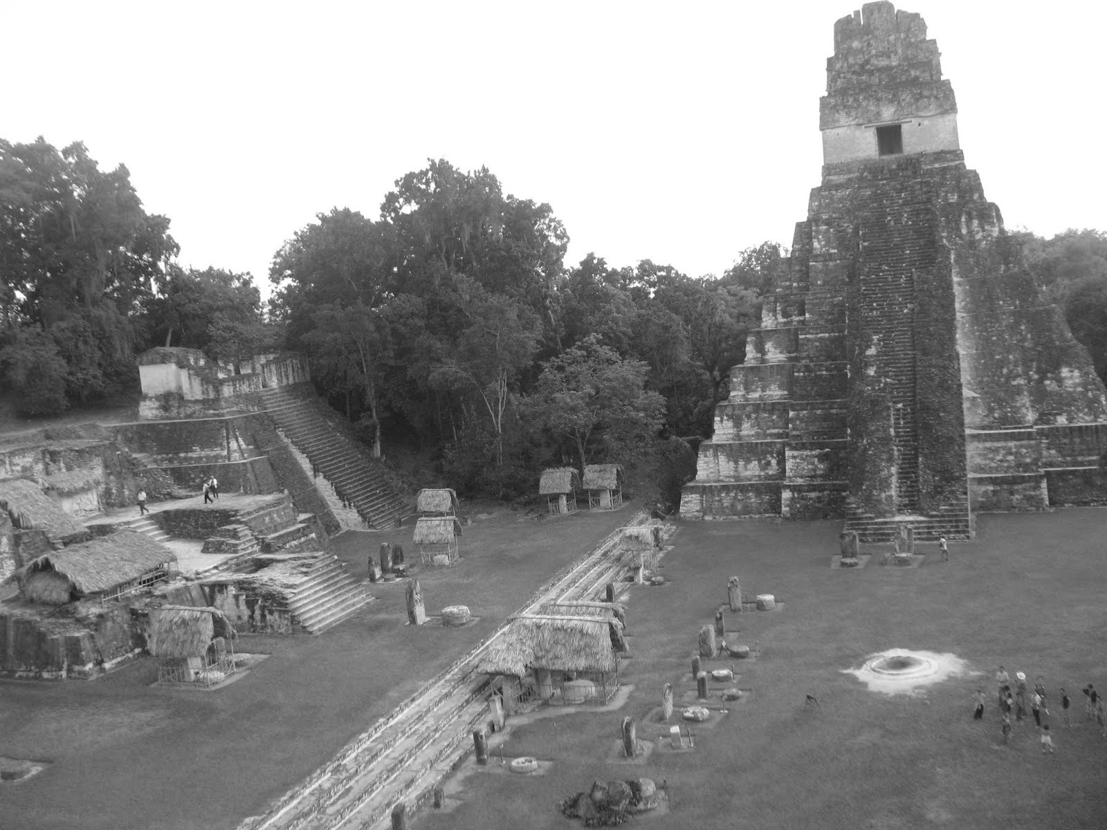 [IMG_0355[1]]