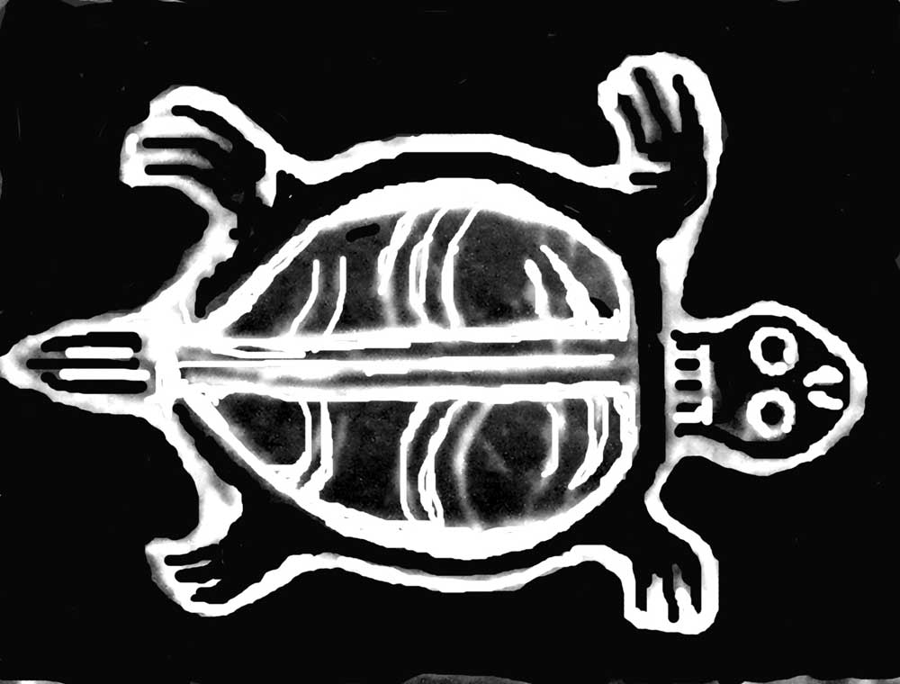 [turtle-bw-image.jpg]