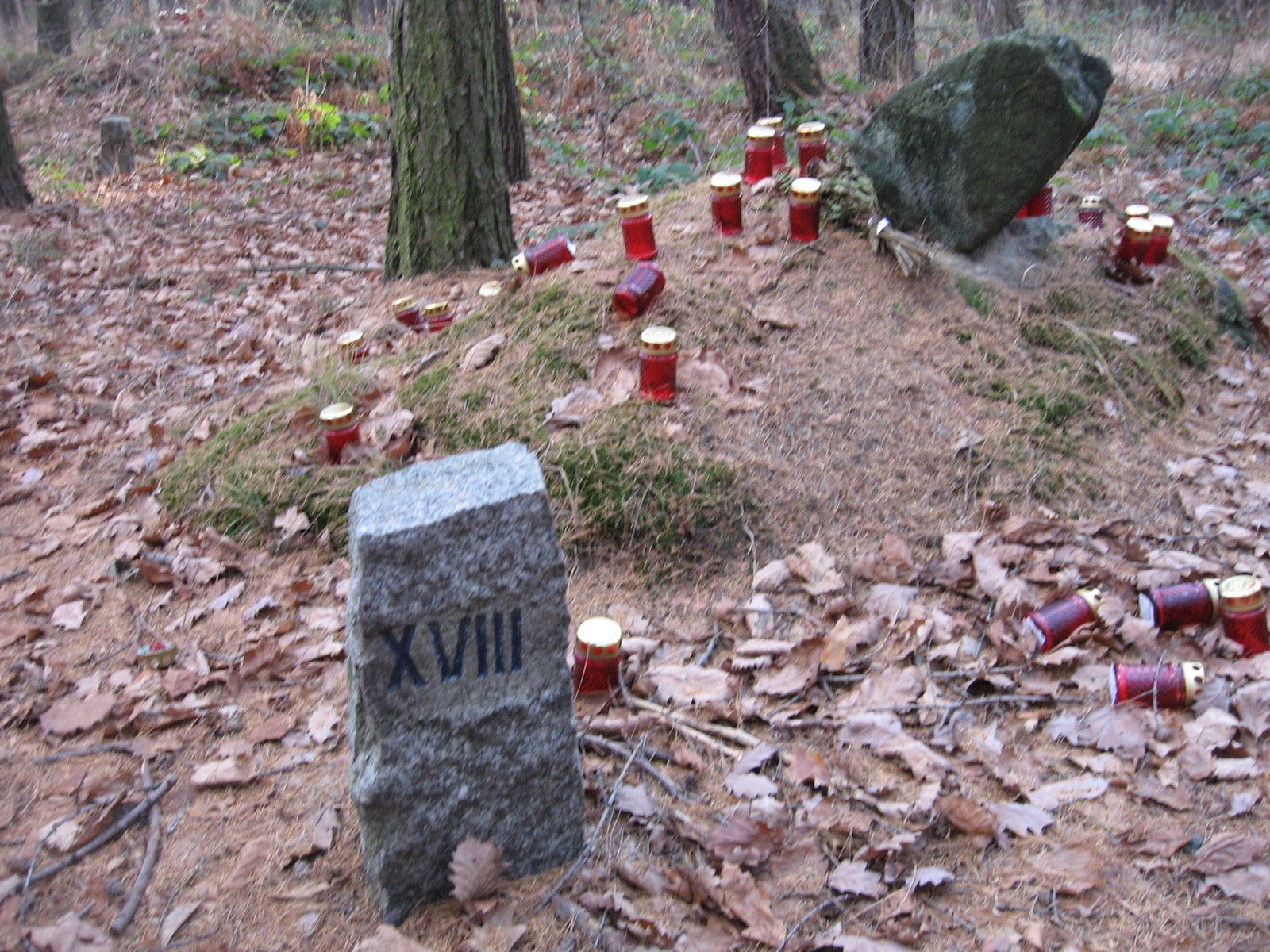 [IMG_0789.JPG]