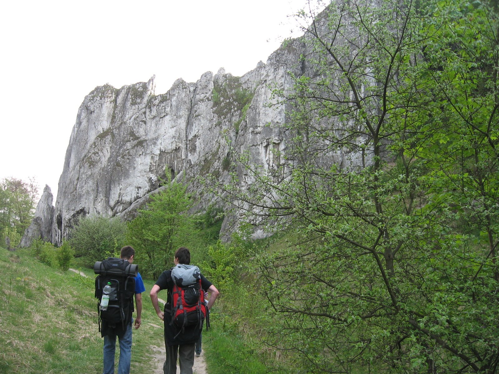[IMG_2126.JPG]