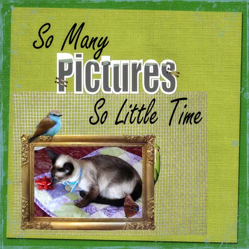 [Avery+small+pye.jpg]