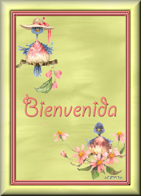 [EXTRAS27.BIENVENIDA.jpg]