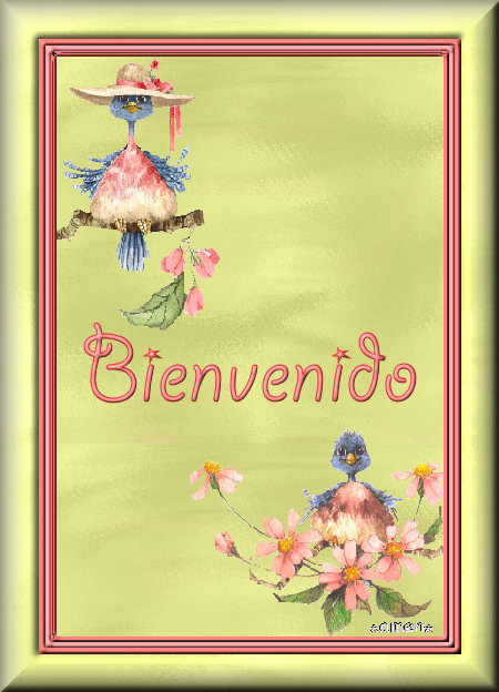 [EXTRAS27.BIENVENIDO.jpg]