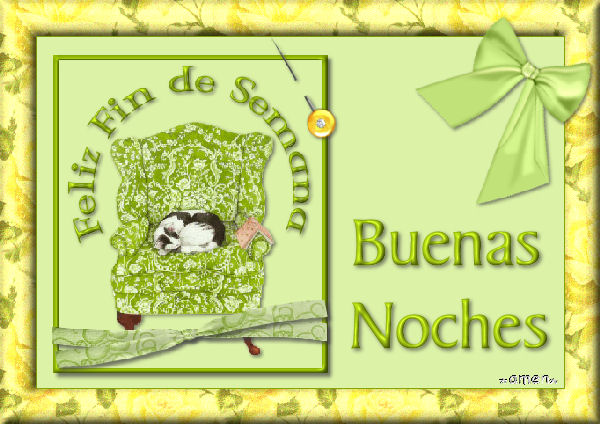 [EXTRAS45.BUENAS+NOCHES.jpg]