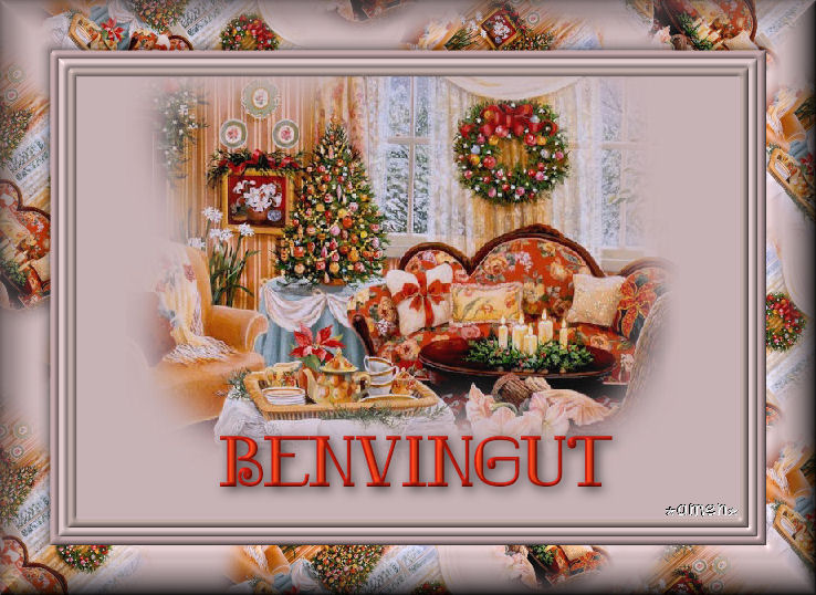 [EXTRAS+NAVIDAD1.BENVINGUT.jpg]