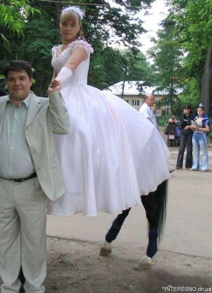 [casamento+híbrido.jpg]