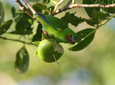 [IMG_2502.JPG]