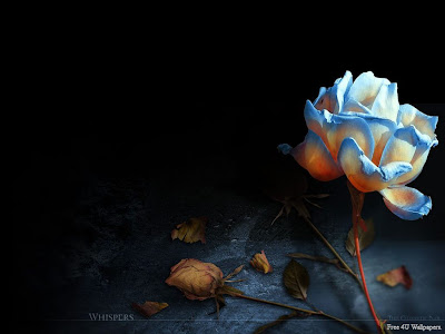 Source : Free 4U Wallpapers free 4u wallpaper. Source : Free 4U Wallpapers
