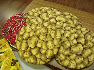 NANA'S CRAFTING: PATTERN FOR SQ. MICRO POTATO BAG