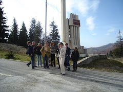 Vizita