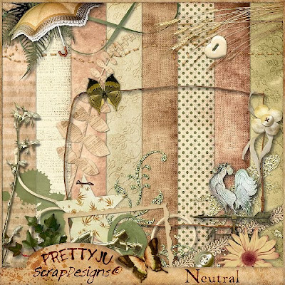 http://prettyjuscrap.blogspot.com/2009/08/mon-tout-premier-kit.html