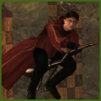 [jogopmquidditch.PNG]