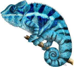 chameleon panther paint change shape adapt crafters ability flexibility vitae momentis meae nurses nursing activity learning slideshow