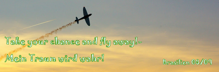 ''Take your chance and fly away!''