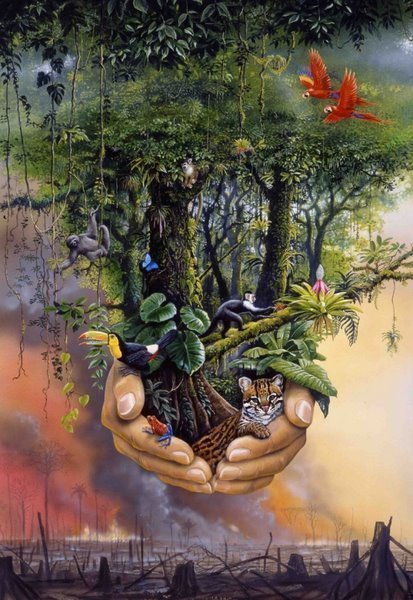 Imagem