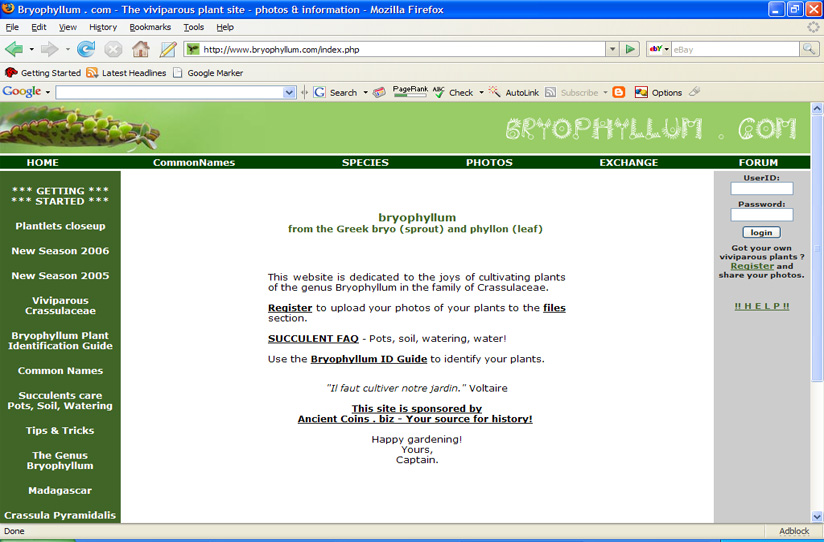 [Byrophyllum.com.jpg]
