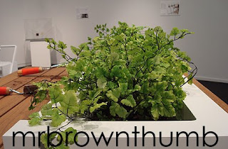 Deceptive Garden, Urban gardening planter, view of planter