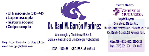 Dr. Raul Barron Martinez