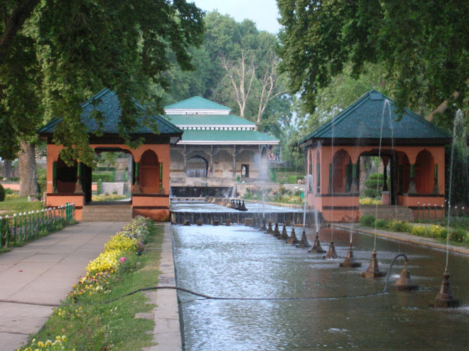 shalimar beauty